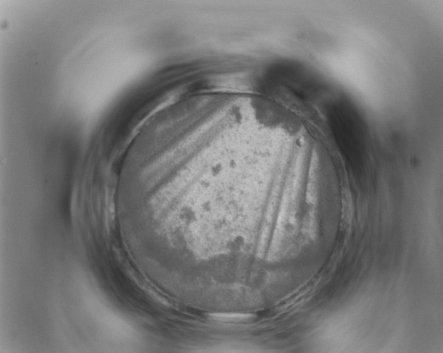 X0000088391487200706121157