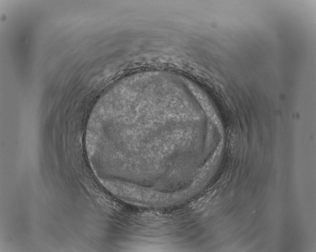 X0000088391489200706121157