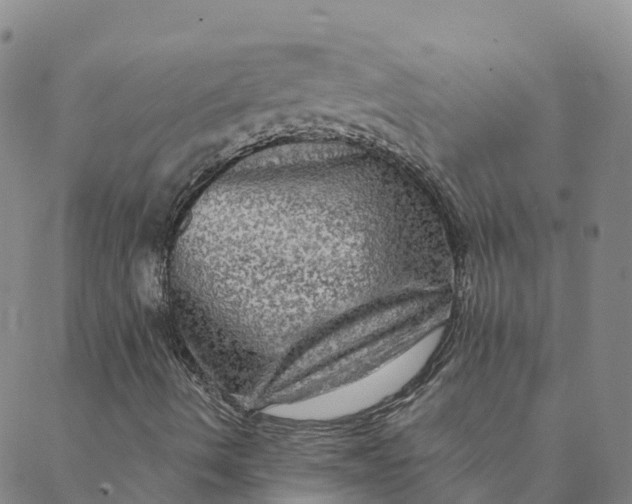 X0000088391490200706121157