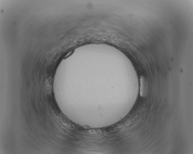 X0000088391491200706121157