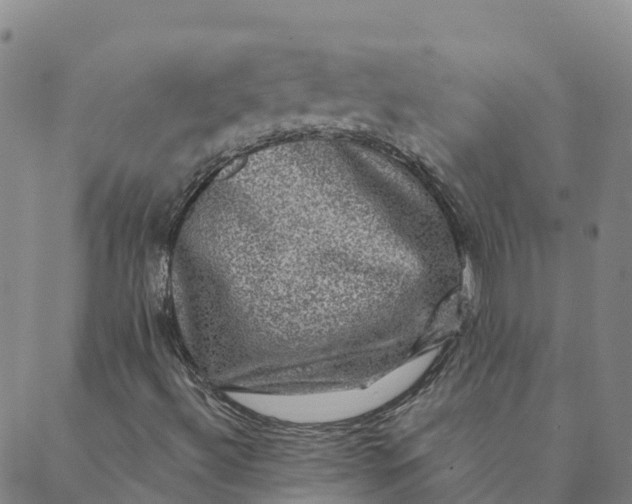 X0000088391492200706121157