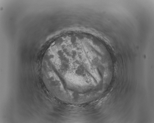 X0000088391494200706121157