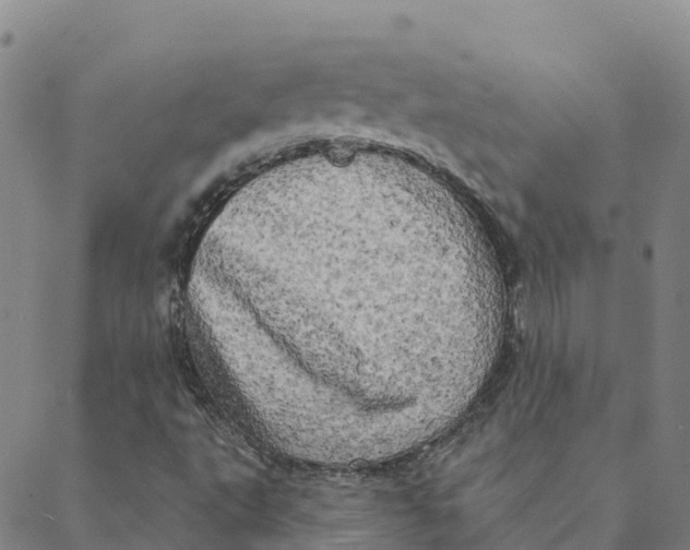 X0000088391495200706121157