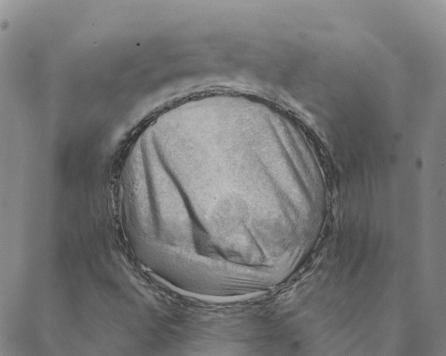 X0000088391496200706121157