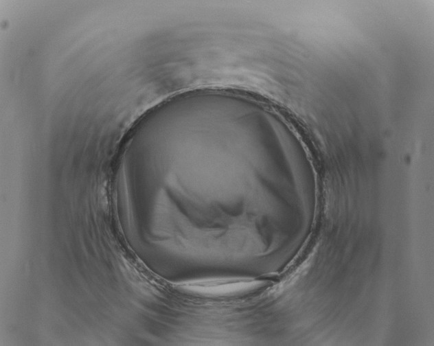 X0000088391497200706121157