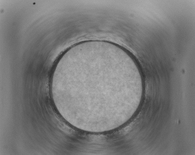 X0000088391498200706121157