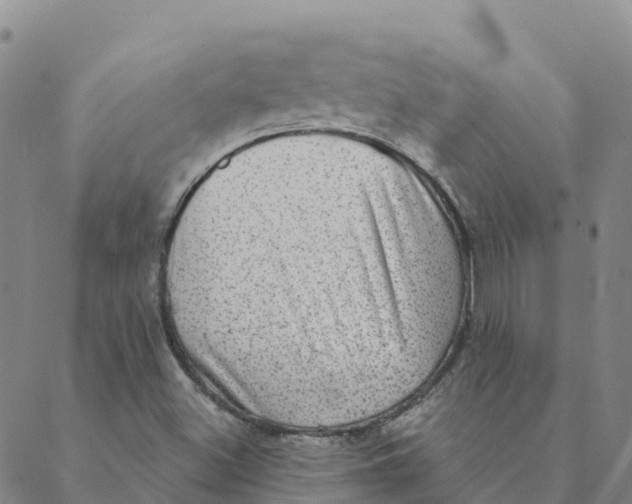 X0000088391500200706121157