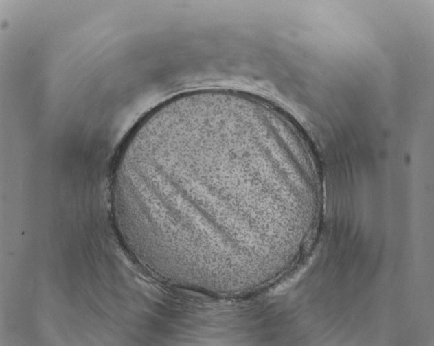 X0000088391501200706121157