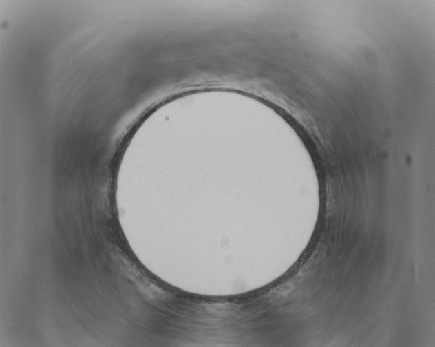 X0000088391502200706121157