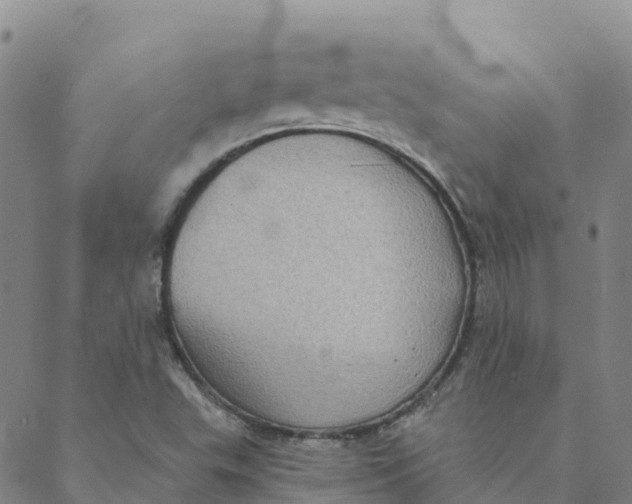 X0000088391503200706121157