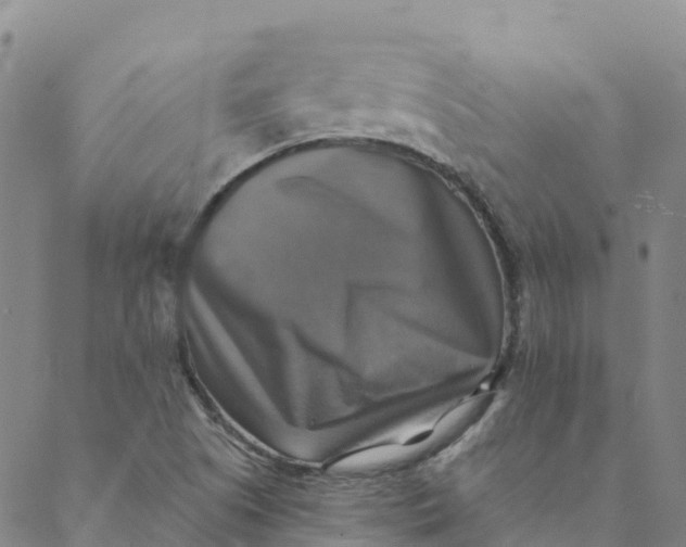 X0000088391505200706121157