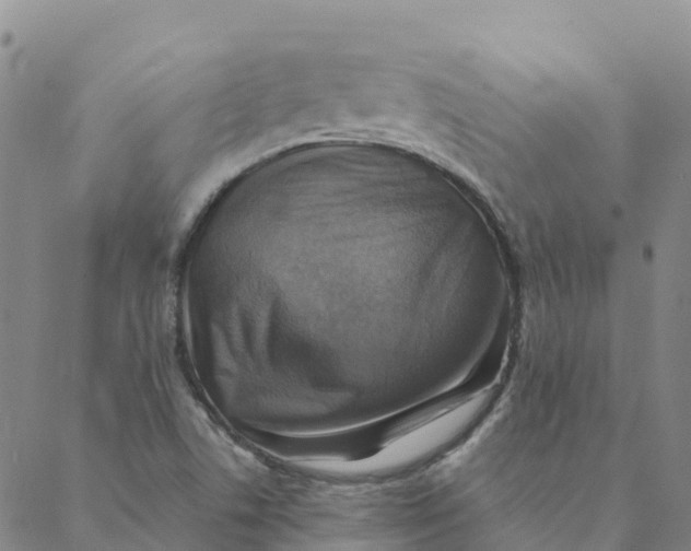 X0000088391506200706121157