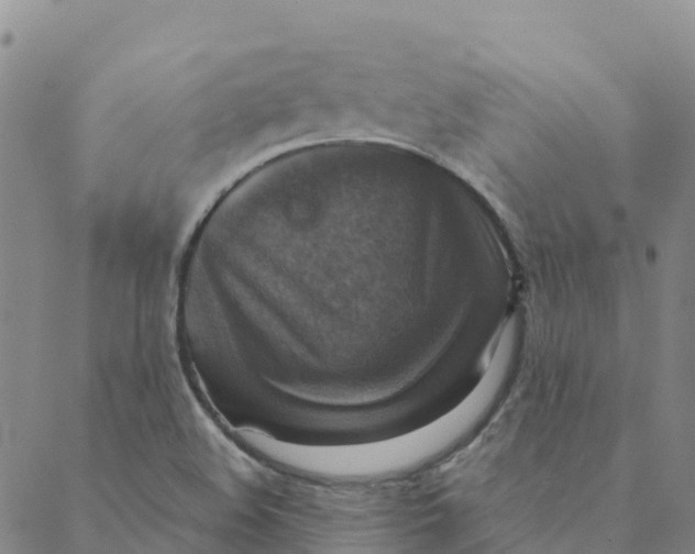 X0000088391508200706121157