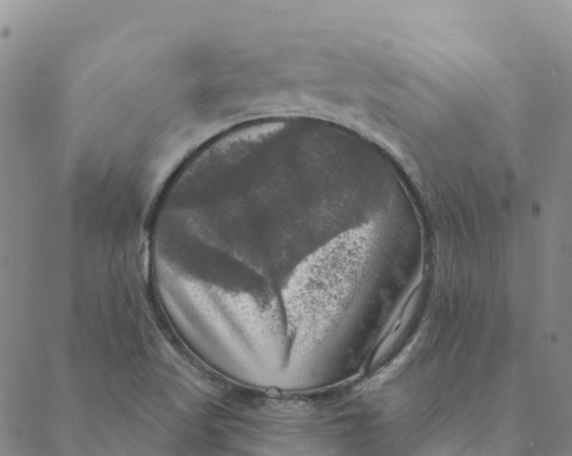 X0000088391509200706121157