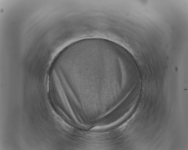 X0000088391510200706121157