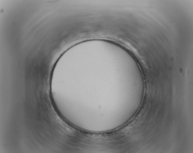 X0000088391512200706121157