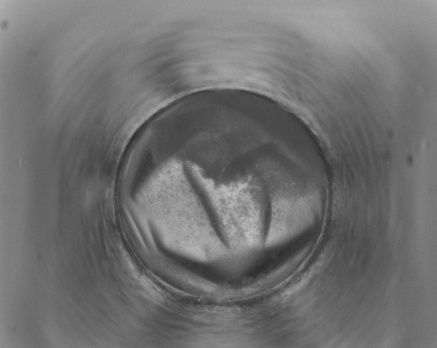 X0000088391513200706121157