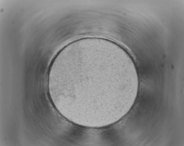 X0000088391514200706121157