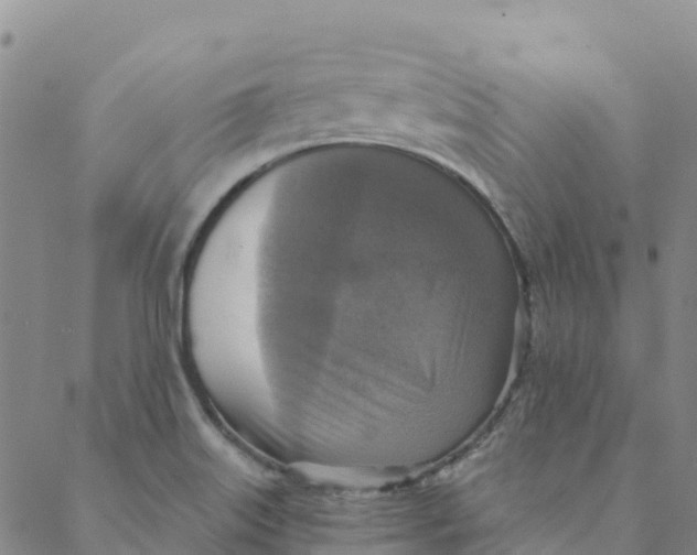 X0000088391515200706121157