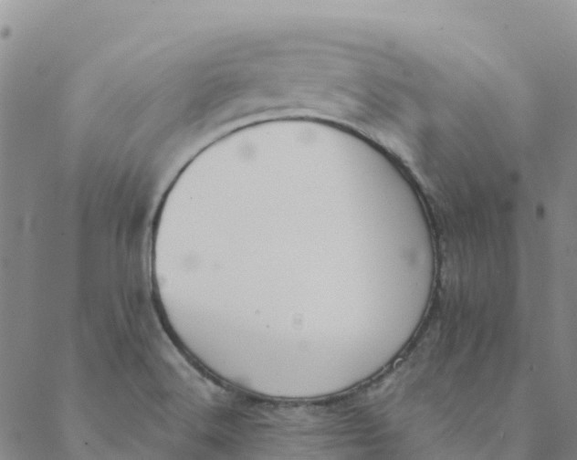 X0000088391516200706121157