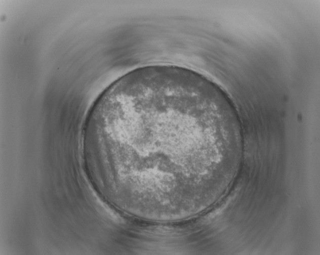 X0000088391517200706121157