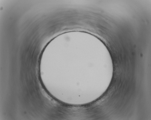 X0000088391518200706121157