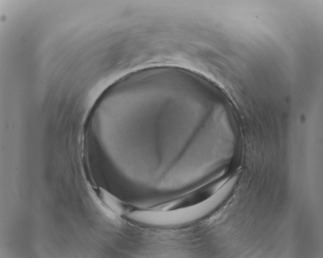 X0000088391519200706121157