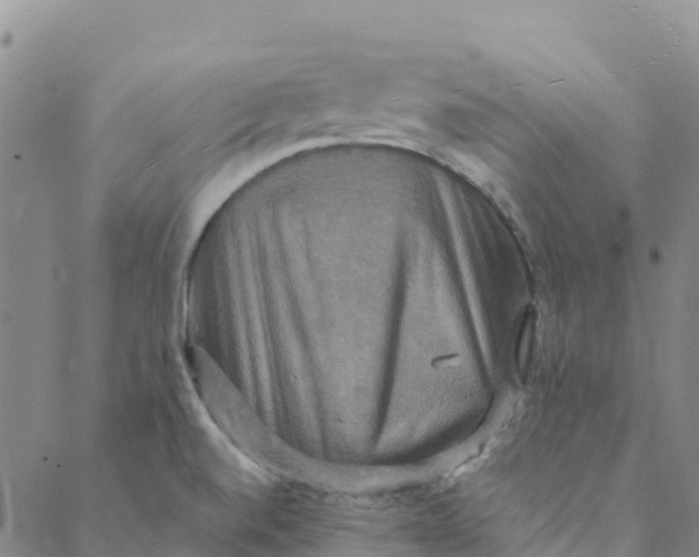 X0000088391520200706121157