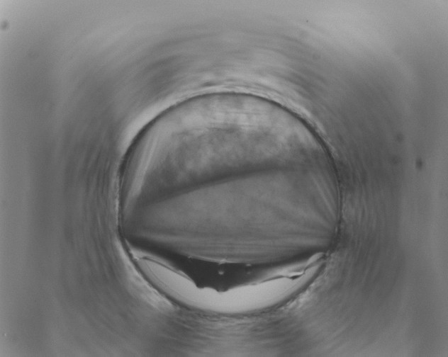 X0000088391522200706121157