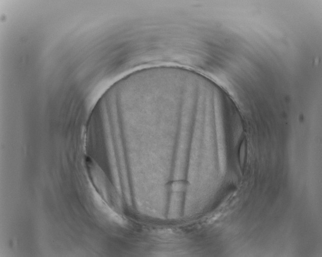 X0000088391524200706121157