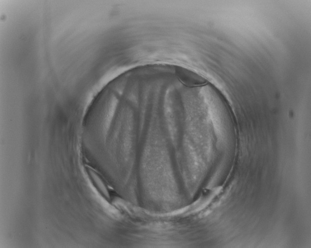 X0000088391525200706121157