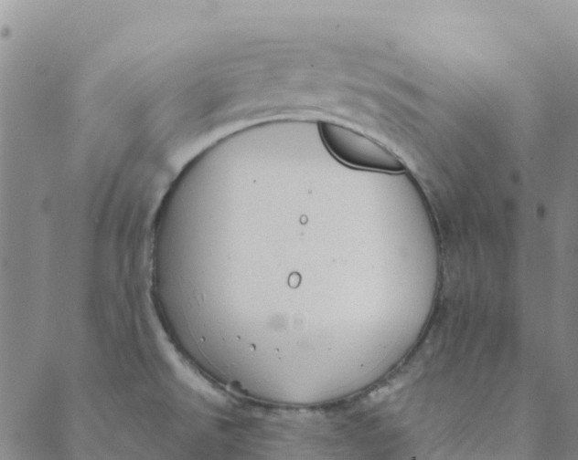 X0000088391526200706121157