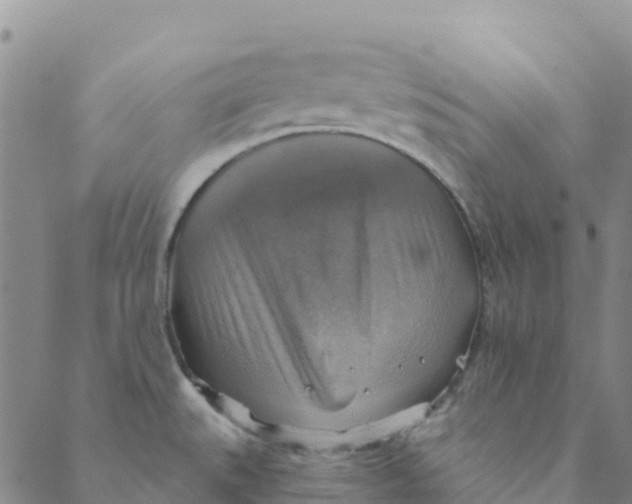 X0000088391527200706121157