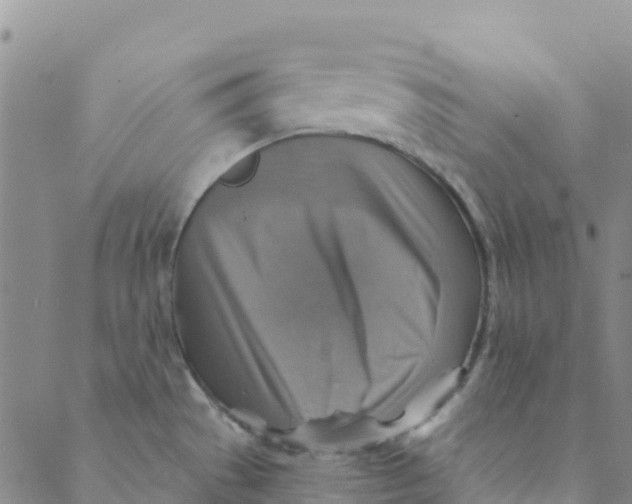 X0000088391529200706121157