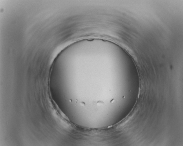 X0000088391530200706121157