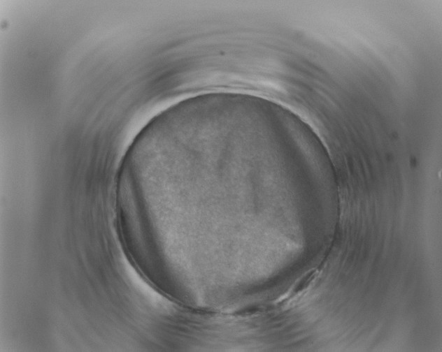 X0000088391531200706121157