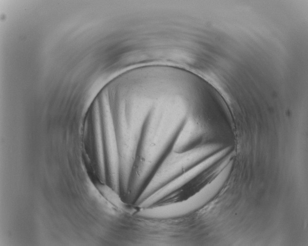 X0000088391532200706121157