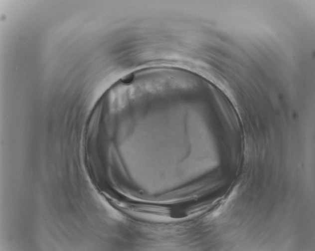 X0000088391533200706121157