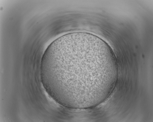 X0000088391534200706121157