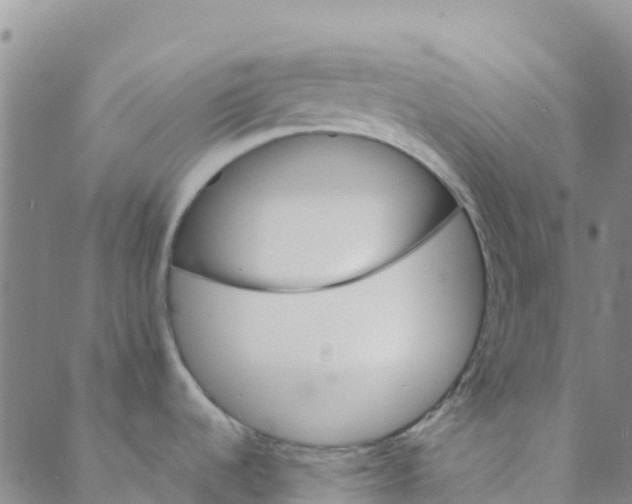 X0000088391536200706121157