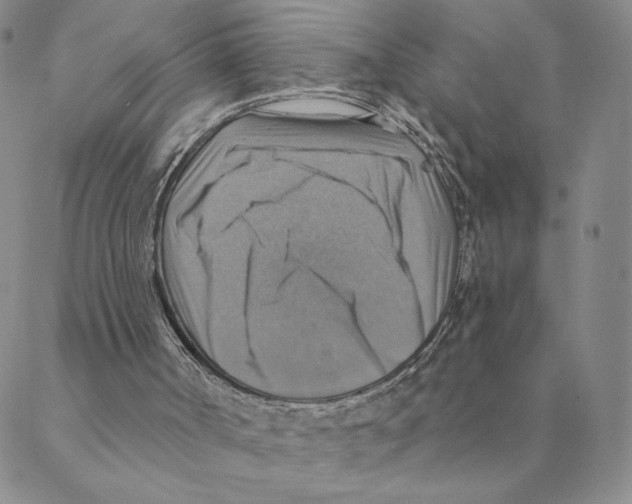 X0000088390002200706191344