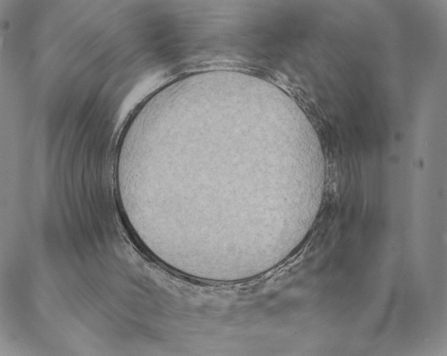 X0000088390004200706191344
