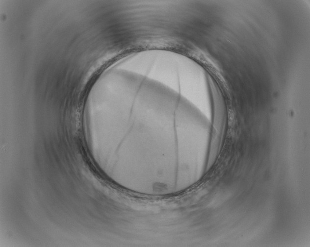 X0000088390012200706191344