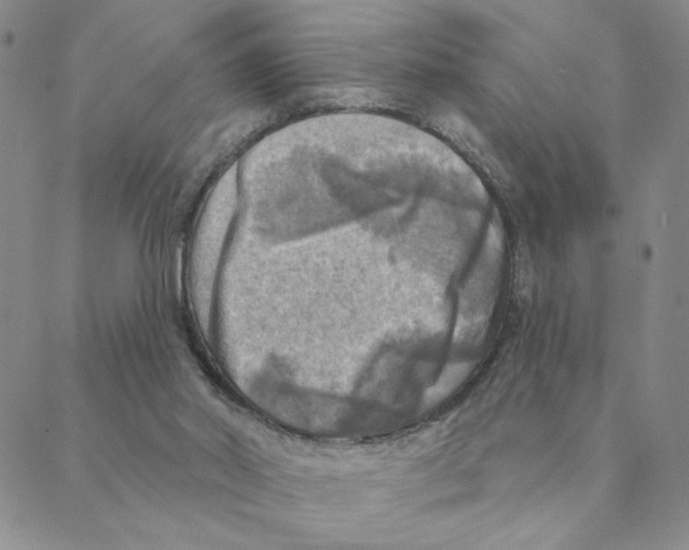 X0000088390014200706191344