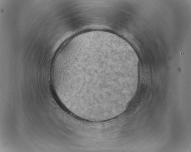 X0000088390015200706191344