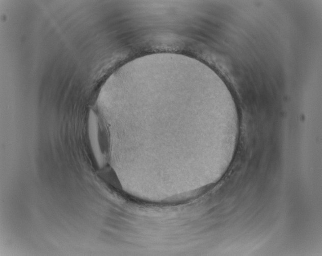 X0000088390017200706191344
