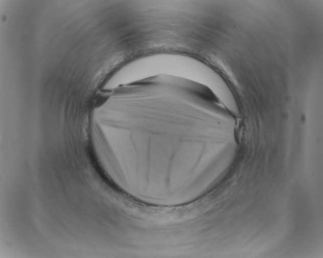 X0000088390023200706191344