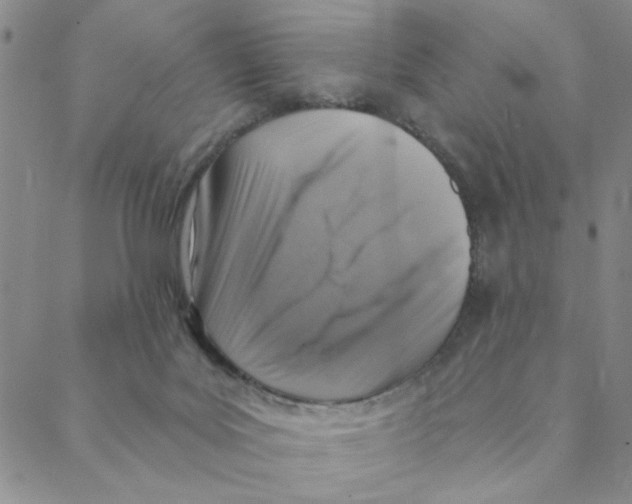 X0000088390027200706191344