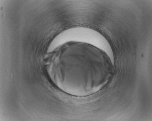 X0000088390039200706191343
