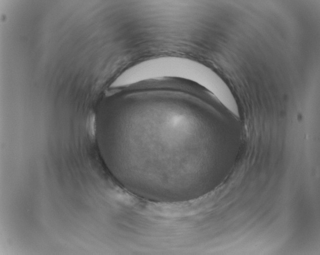 X0000088390041200706191343